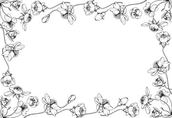 Cherry sakura white flower and bud on stems, hand drawn vector ink, apple blossom early spring wildflower botanical illustration. Isolated horizontal frame, for wedding, florist shop, scrapbooking