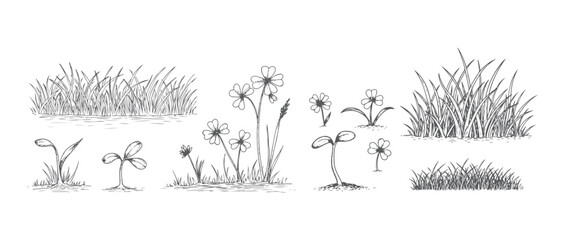 Set of grass hand drawn grass field outline scribble background. Sprout, flower, clover elements. Vector illustration