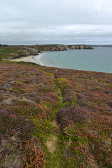 Vue sur une plage au sable blanc et végétation sauvage de la presqu'ile de Crozon  en Bretagne