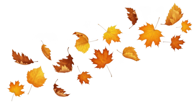 Autumn leaves falling in a gentle breeze isolated on transparent background
