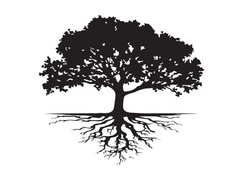 Nature harmony tree roots and river 2D vector line art illustration  