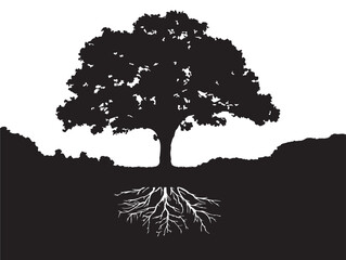 Calm valley and tree roots scene 2D vector line art artwork   © Helena