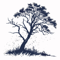 Silhouette of a large tree with sparse leaves and grass at its base
