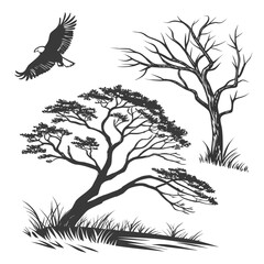 Silhouette of an eagle flying over acacia trees and dry grass