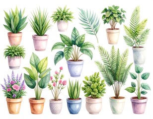 Watercolor Illustration of Various Potted Plants Isolated
