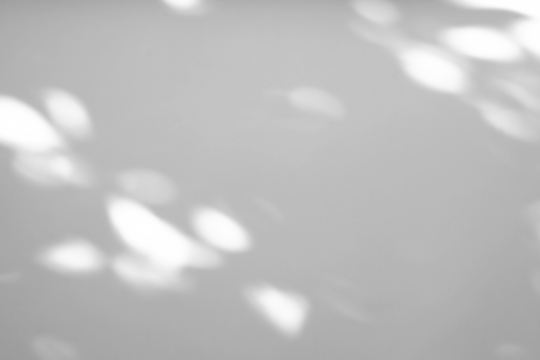 Abstract natural tree branch leaves shadow on white wall background - Powered by Adobe