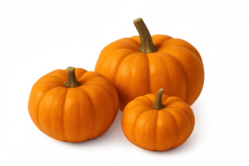 Three orange pumpkins on transparent background, symbolizing autumn harvest, halloween, and thanksgiving celebration