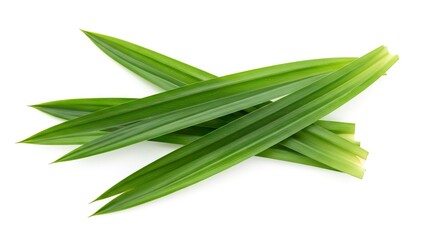 Stacked bright green pandan leaves with distinct veins on a clean white backdrop