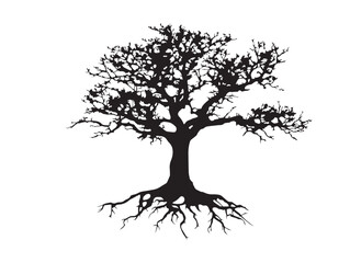 Fototapeta premium Detailed Botanical Tree with Complex Root Network Vector Art