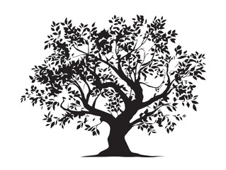 Obraz premium Enchanted Forest Tree With Hanging Vines Stylized Vector Line Drawing