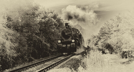 Steam train in the woods, old photo vintage style