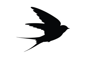 Fototapeta premium Silhouette of a swallow bird in flight with wings spread wide against white background