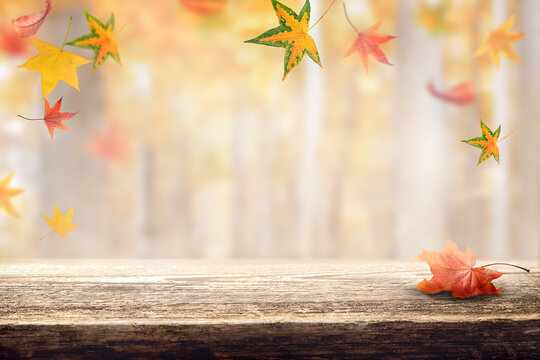 wooden table on which lies a red maple leaf and a blurred autumn forest background.  Product presentation - Powered by Adobe