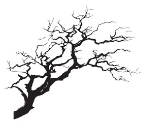 Twisted Branch Tree Abstract 2D Vector Line Art Silhouette  