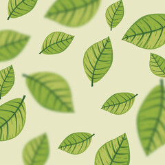 green leaves on white background