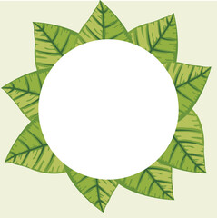 green leaves frame