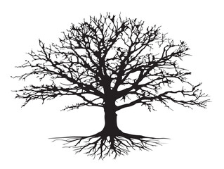 Elegant winter oak tree with intricate root design vector art