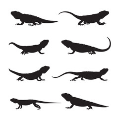 Bearded dragon silhouette collection black and white reptile graphics
