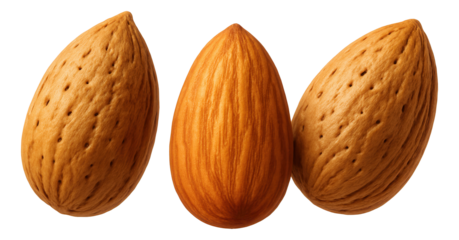 Pheasant and wild mushroom pie in a ceramic dish with a golden, flaky crust.