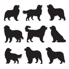 Bernese mountain dog silhouette collection