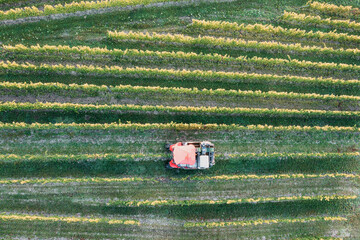 View vertically downward onto a harvester in a vineyard in the Rheingau