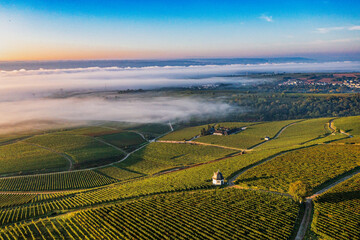 Aerial view of the Rhine Valley near Eltville early in the morning at sunrise, with the Rhine covered in morning mist