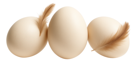 Fresh cabbage salad served in a deep red clay dish with cherry tomato halves and a lemon wedge.