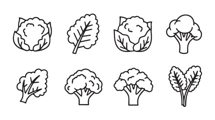Hand drawn sketch collection of fresh broccoli and cauliflower vegetables vector
