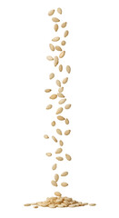 Obraz premium Pumpkin seeds falling in a stream onto a pile of seeds.