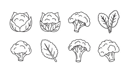 Collection of hand-drawn sketch style vegetables including broccoli cabbage and spinach vector