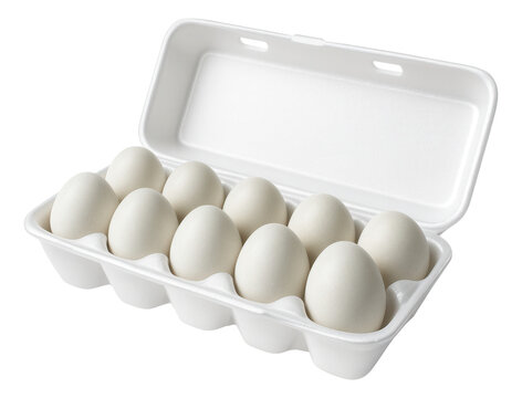 Baguette with a shiny, lacquered crust, showcased on a metal cooling rack.