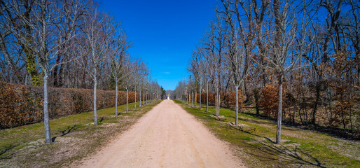 Gardens and Forest of the Royal Palace of La Granja de San Ildefonso, Spanish Cultural Heritage, Real Sitio de San Ildefonso, Segovia, Castilla y León, Spain, Europe