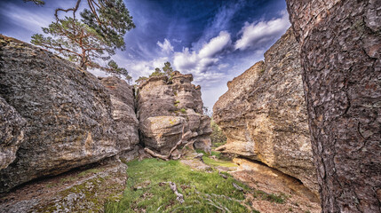 Tormos de Castroviejo Singular Landscape, Sierra de Urbión, Duruelo de la Sierra, Soria, Castilla Y León, Spain, Europe