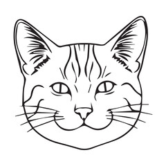 black and white cat vector illustration
