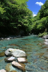清涼感のある汗見川　（高知県　本山町　汗見川渓谷）