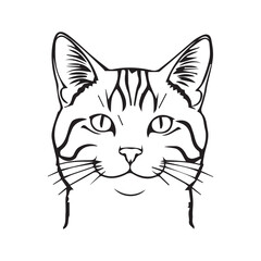 black and white cat vector illustration