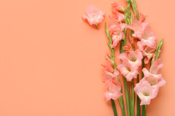 Beautiful gladiolus flowers on orange background