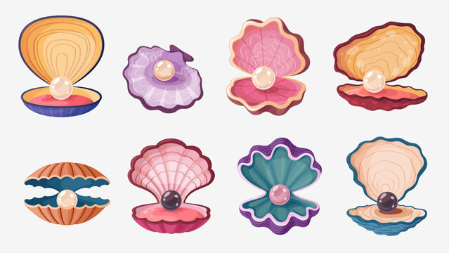 Cartoon scallop pearl shells or seashells open sea oysters with treasure jewelry, vector set. Scallop shells or mother pearl seashells with pearl balls for underwater fairy tale or undersea treasure