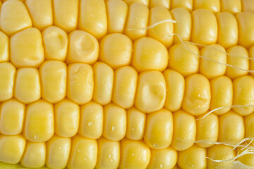 Golden corn kernels arranged in perfect rows, glistening with fresh water drops. A juicy, natural and appetizing food shot, ideal for packaging and healthy product promotion. Full frame