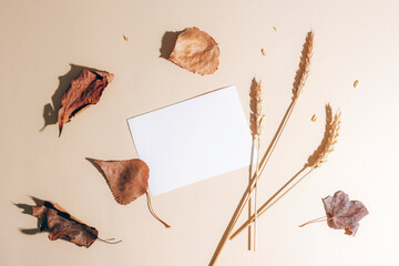 Blank card and dry autumn leaves, wheat ears on light background. Top view, flat lay, mockup