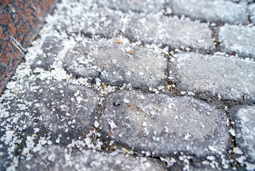 Paving stones sprinkled with rock salt for deicing, winter road treatment and pedestrian safety on frosty concrete paths in urban environments. Sidewalk covered with rock salt, selective focus