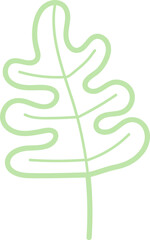 leaf