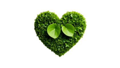  Heart-Shaped Green Plant with Two Leaves for Love or Valentines Day isolated on solid white background Png form