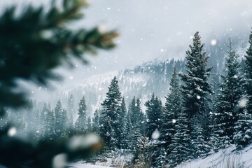 Snowfall on Snowy Landscape with Pine Trees Forest