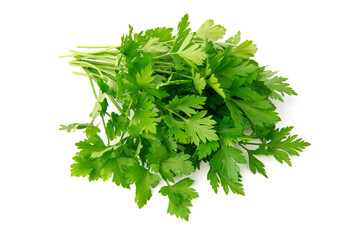 Fresh green parsley bunch on white background.
