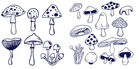Outline mushrooms doodle big set. Fungi hand drawn sketch of various shapes and sizes isolated on white background