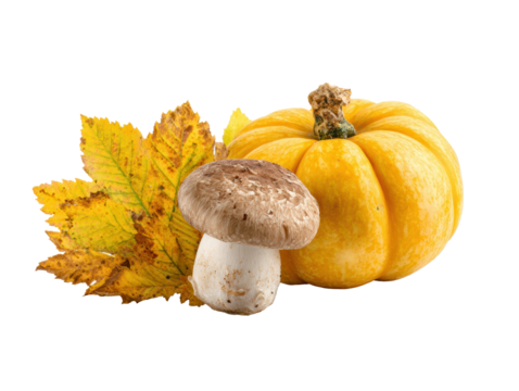 Autumn harvest featuring pumpkin, mushroom, and yellow leaves on a transparent background, cut out - Powered by Adobe