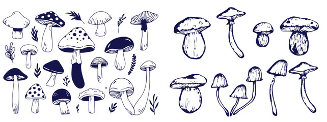 Outline mushrooms doodle big set. Fungi hand drawn sketch of various shapes and sizes isolated on white background