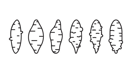 Hand drawn sketch of six different shaped sweet potatoes artistic food organic root vegetable graphics vector