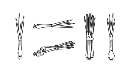 Hand drawn scallions fresh green onions bunch isolated sketch style food ingredient vector